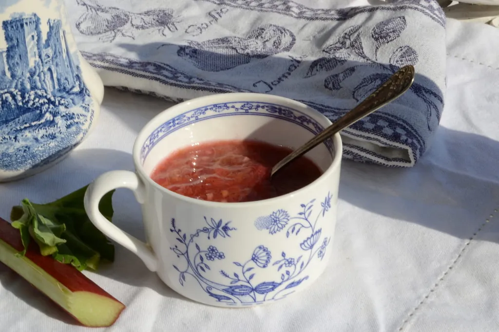 Rabarberkräm med vaniljstång